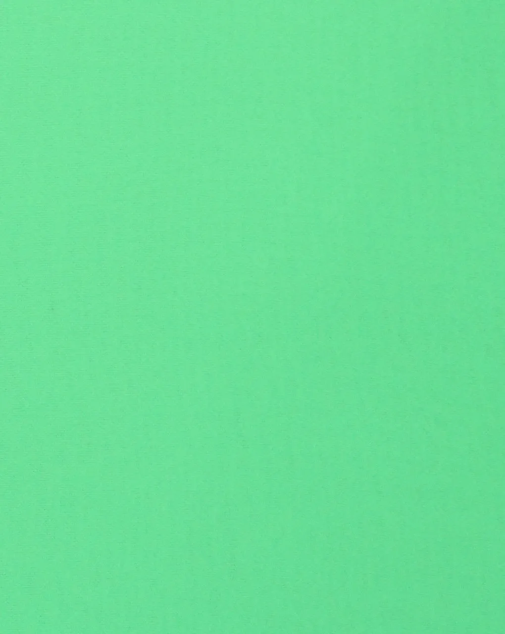 Plain Light Green Lazer Georgette Fabric